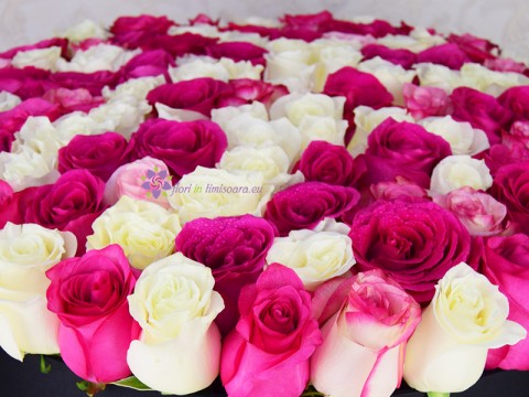 Cutie cu 101 trandafiri roz si albi